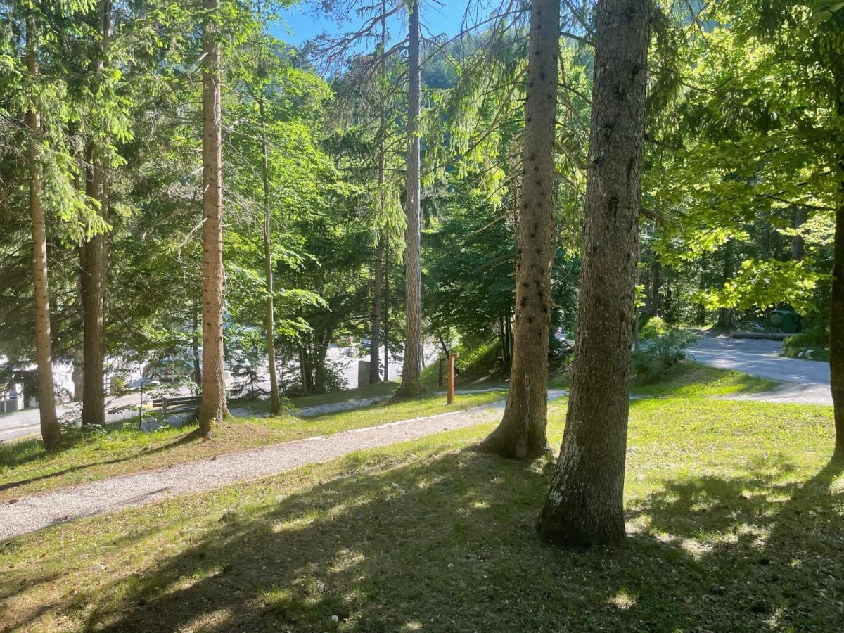 Ferienwohnung Martinov Dom Kranjska Gora Exterior foto
